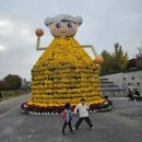 유림사우나 | 대전 아이랑 유성 국화축제 막차 방문 후기 11.8.토 유림공원