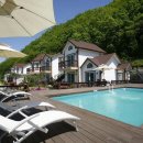 색채의 숲 이미지