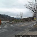 매화랜드 앞 이미지