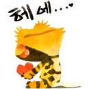 한국이색반려동물박람회 이미지