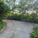 새터농로 이미지