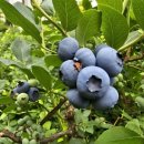 우석농장 이미지