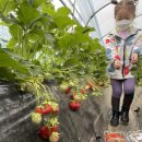 채니농장 이미지