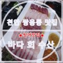 바다로 회수산 네이버블로그