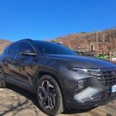 대성카써비스센타 이미지