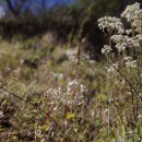 문평119안전센터 이미지