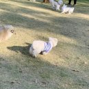 위드티쳐 이미지