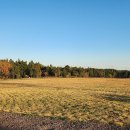 기린 캠프랜드 이미지