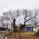 고잔소공원 이미지