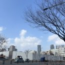 풀꽃동산작은도서관 | 대방역 구립도서관 밤동산작은도서관 대출후기 + 요즘 우아한 개발