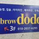 도도브로우 이미지
