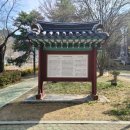 동촌마을회관 | 창녕 벚꽃 개화 실시간 현황 연지못