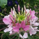 횡성의료기 이미지