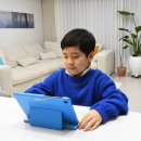 우리 아이 두뇌 공부 만들기(과목별) | 홈스쿨링 공부방법 고민 끝, 전과목 성장 밀크티후기