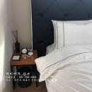 자작나무호텔 이미지