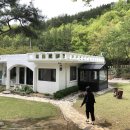기양초 이미지