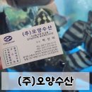 (주)만나 | 수원 농수산물시장 회 맛집 (주)오양수산 회 포장 후기 🐟