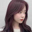 성빈시스템