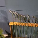 토마토스크린골프존 이미지