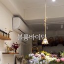 블룸바이민