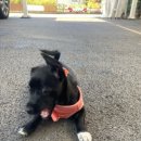 리우네단체키즈풀빌라 이미지