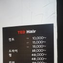 테드헤어 네이버블로그