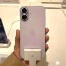 이마트24 순천트리마제1차점 | [애플/아이폰][내돈내산] 아이폰 17 일반 블랙 512GB (+에이스토어 사전예약 및 개봉 후기)