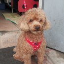 강남복지충전소 이미지