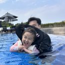 부산 아난티코브 펜트하우스 테라스풀 하우스A 두가족 후기 - 오너스풀