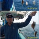 참가자미 이미지