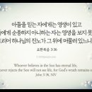 오늘의 &#39;영어성경 사진&#39;(664강) “아들을 믿는 자와 아들을 거절하는 자”(요한복음 3장 36절) 이미지