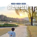 노을정원 | 순천만정원 아이랑 가볼만한 곳 순천 노을 벚꽃 튤립 정원드림호 후기