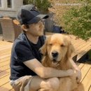 멍뭉이 앞에서 수상한 걸 본 척하기 이미지