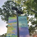 서울 보라매공원 &#34;국제정원 박람회&#34; 다녀왔어요 ~ 이미지