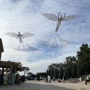내비퍼스트 이미지