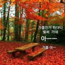 욜로크럽 이미지