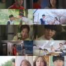 까투리 법원점 | ‘법대로 사랑하라’ 첫방이 다했다, 7.4% 출발[종합]