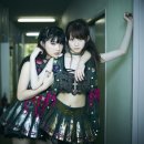 Pinky Pinky 이미지