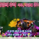 석양의추억 이미지