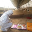 전남축산 이미지