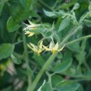 송암농원 이미지