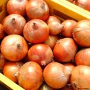 양파 - 통영시 중앙로 160 | 양파