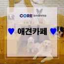 유아독존(You're Dog Zone) | 애견카페