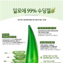 홀리카홀리카명동