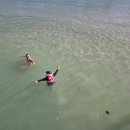 판포초등학교 이미지