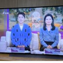 6시내고향 이미지