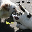 참 이미지