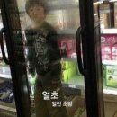 태하스시 | 8월에는 얼초 코어로 살자