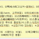 루어낚시 용어