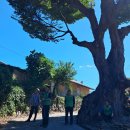 고삼면사무소 이미지